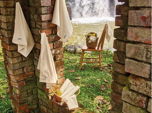 Kit Pano de Copa 3 Peças 100% Algodão Organic